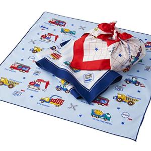 ランチクロスセット 3枚セット 給食ナフキン お弁当クロス