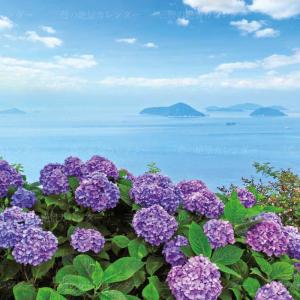 壁掛けカレンダー Best Mitoyo 20...の詳細画像1