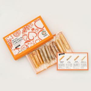 プレミアムヴィーガン生キャラメル 2種類から選べる フルーツor