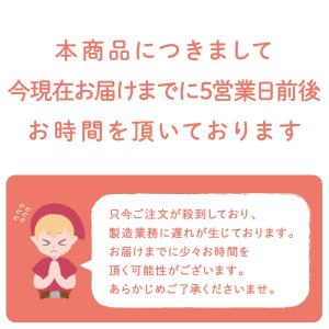 ルイボスティー オーガニック 2g×100包 ...の詳細画像1