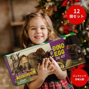 恐竜発掘キット 恐竜おもちゃ 恐竜卵玩具 12個セット ティラノサウルス 子供 プレゼント ギフト