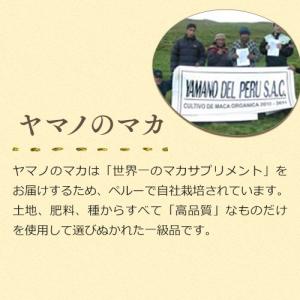 妊活 サプリ 女性ホルモン マカ ヤマノ 亜鉛 5日分おまけ 正規代理店 5袋セット サプリ マカサプリ オーガニック アルギニン 亜鉛 妊娠 女性ホルモン サプリメント 送料無料 5袋セット 010 ハッピーブレッシング