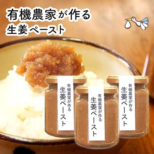 蒸し生姜ペースト 120g×3個【飲み物や料理に】国産/無添加/ウルトラ生姜/しょうが/おかず生姜/...