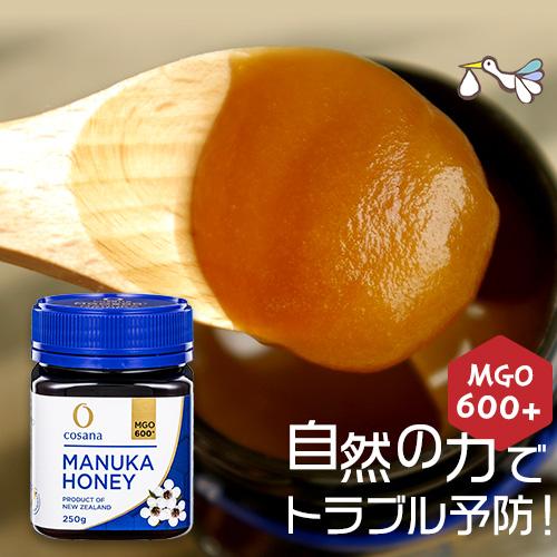 マヌカハニー 250g（MGO600+）コサナ正規販売店 ニュージーランド産 非加熱 無添加 妊活