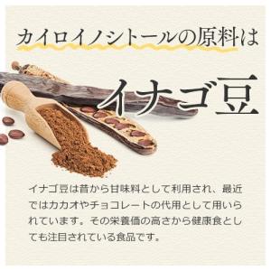 PCOS葉酸プラス サプリ(90粒・3ヶ月分)...の詳細画像4