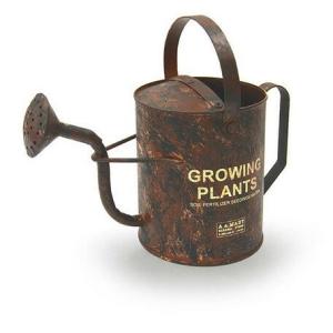 シャビージョウロｓ Azi ガーデニング雑貨 じょうろ ジョーロ おしゃれ アンティーク かわいい 出荷 ジョウロ 北欧