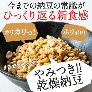 乾燥納豆(180g)国産大豆100% フリーズ...の詳細画像1