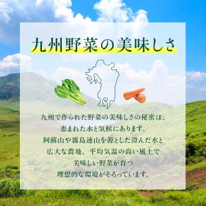乾燥野菜100g 九州産野菜100% 4種類 ...の詳細画像4