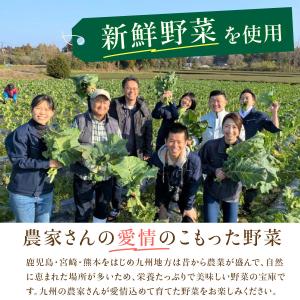 乾燥野菜100g 九州産野菜100% 4種類 ...の詳細画像5