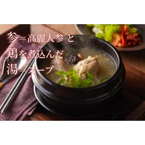 参鶏湯風スープ400g×5袋 サムゲタン レト...の詳細画像2