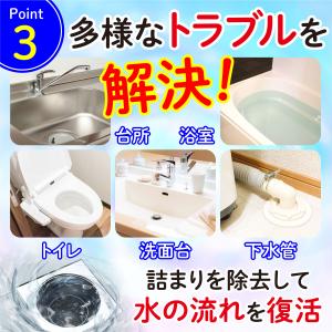 パイプクリーナー 160cm 排水溝 掃除 つ...の詳細画像4