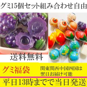 ランダム15粒 セット3-5種類同じものが入ります 地球グミ 目玉 哺乳瓶グミ 目玉グミ イカゲームグミyoutube  咀嚼音 asmr モッパン