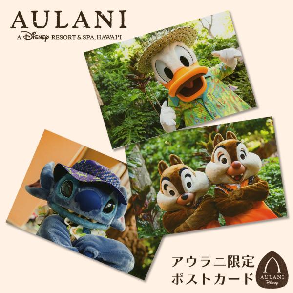ハワイアン雑貨 ハワイ雑貨 ハワイ直輸入 ハワイ限定 アウラニ ポストカード アウラニディズニーリゾ...