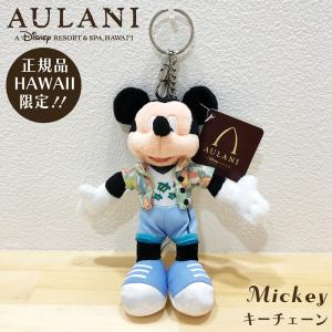 Disney（ディズニー） ハワイ限定【アウラニ限定 】ぬいぐるみコイン