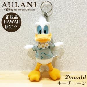 Disney（ディズニー） 【アウラニ限定 】ぬいぐるみ Aulani Disney