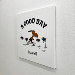 ハワイ限定 ハワイ直輸入 日焼けスヌーピー キ...の詳細画像1