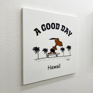 ハワイ限定 ハワイ直輸入 日焼けスヌーピー キ...の詳細画像2