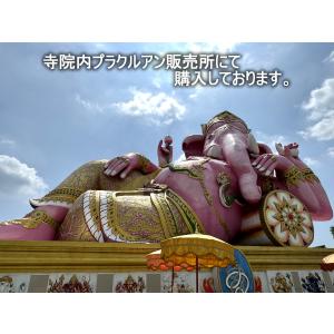 タイ-ワット・サマーンラッタナーラーム ピンク...の詳細画像5