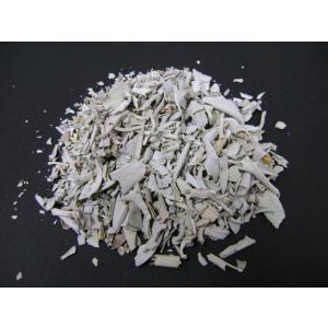 セイクリッド ホワイトセージ 無農薬 20g 天然ホワイトセージリーフ20