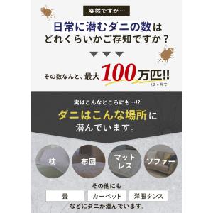 Dr.ダニトル 10枚入り ダニ捕りシート ダ...の詳細画像4