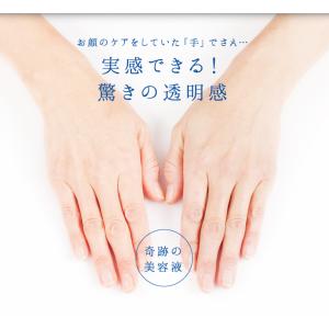 旭研 ハイドロキノン 業務用 10g 旭研の高...の詳細画像4