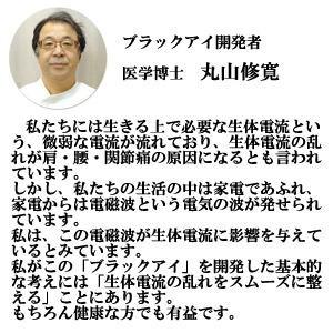 丸山式コイル ブラックアイ2個セット 貼り替え...の詳細画像2