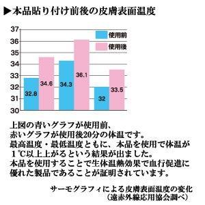 丸山式コイル ブラックアイ2個セット 貼り替え...の詳細画像4