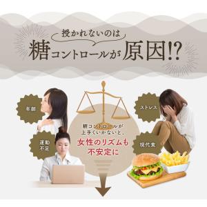 【送料無料】 MYOWL ミオール 60粒入 ...の詳細画像4