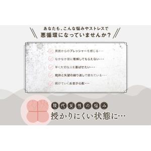 【送料無料】 MYOWL ミオール 60粒入 ...の詳細画像5