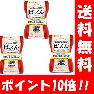 森修焼 アーススタビライザー ガンマプラス 森修焼 アーススタビライザー ガンマプラス W50×H30mm : プレマ
