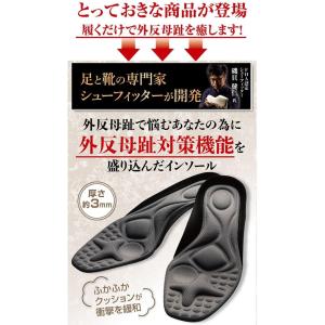 【送料無料】ガイハンインソール 左右セット 靴...の詳細画像2