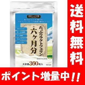 【新品未開封】日清食品 ラクトフェリン 93粒✕３ボトル 腸まで届けるナイスリムエッセンス ラクトフェリン ボトルタイプ
