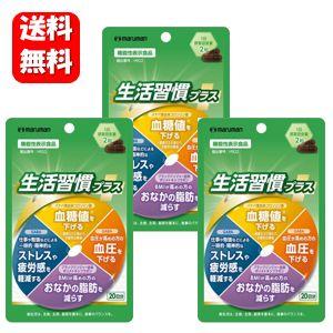 ERINA エリナ ノビレチンプラス 90粒 機能性表示食品 シークヮーサー