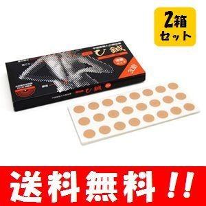 送料無料】アーススタビライザー ガンマプラス 【メーカー正規品】 森