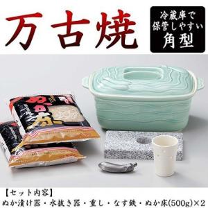 有田焼【浅漬け鉢（ボタニカル）】日本製 漬物 保存容器 一夜漬け : 東