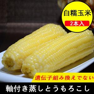 玉米棒 冷凍モチとうもろこし2本入 コクあり 非真空