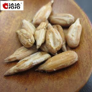 洽洽焦糖瓜子 【2点セット】食用ひまわりの種 ...の詳細画像3