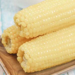 モチとうもろこし 華華糯玉米1個入 3点セット...の詳細画像2