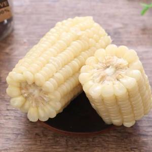 白もちとうもろこし 静安 白糯玉米(1本入) 中国産の詳細画像2