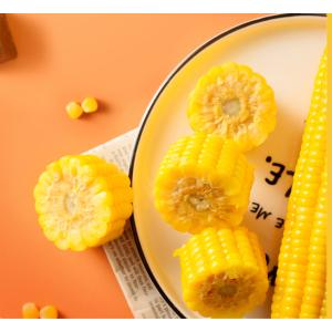 黄モチとうもろこし 調理済み 静安黄糯玉米 1...の詳細画像2