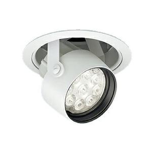 ENDO 遠藤照明 LEDダウンスポット(電源ユニット別売) ERD7445W