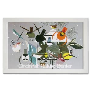 iittala（イッタラ） Poster aalto drawing / iittala ポスター : also