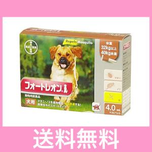 ＯＰ【メール便・送料無料】犬用　フォートレオン　（32ｋｇ以上40ｋｇ未満）　4.0ｍｌ×3本　代引き不可｜happymd