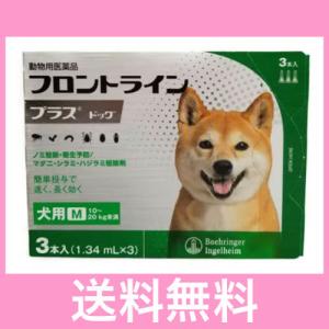 ◎◎犬用　フロントラインプラス　Ｍ（10〜20ｋｇ未満）　３本入