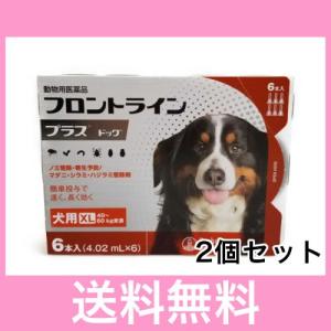 Ｃ【追跡番号あり】犬用　フロントラインプラス　XL（40〜60ｋｇ未満）　６本　[２個セット]　