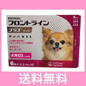M【ゆうパケット・送料無料】犬用　フロントラインプラス　XS（5ｋｇ未満）６本　※なくなり次第終売