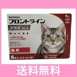 ◎◎【メール便・送料無料】猫用　フロントラインプラス　６本