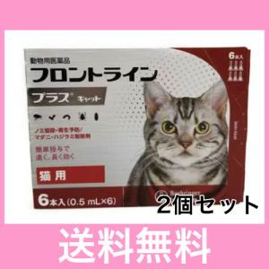 M【追跡番号あり】猫用 フロントラインプラス 6...の商品画像