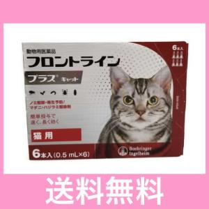 ◎◎【メール便・送料無料】猫用　フロントラインプラス　６本　