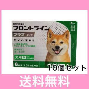 ◎大特価【宅急便・送料無料】犬用　フロントラインプラス　M（10〜20ｋｇ未満）　６本　[10個セット]　※なくなり次第終売